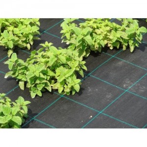 Ground cover fabric