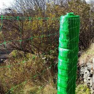 Plant support net