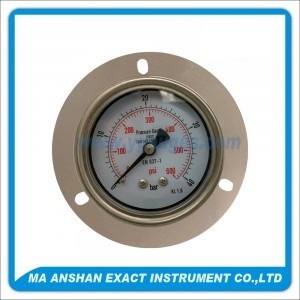 DIN All SS Type Pressure Gauge,Back Connection With Front Flange
