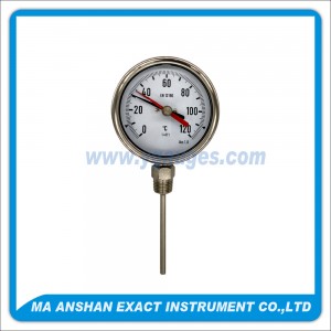 DIN Type S.S. Double Pointer Bimetal Thermometer Bottom Mount