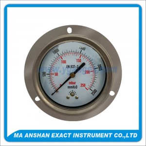 All SS Low Pressure Gauge,Back Connection With Front Flange