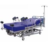 AG-C101A02 Electric LDR Bed