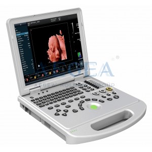 3D/4D/5D Laptop Color Doppler Portable Ultrasound Scanner DW-L5 PRO