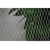 Anti bird net
