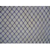 Fishing net