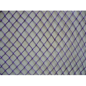 Fishing net