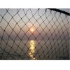 Fishing net
