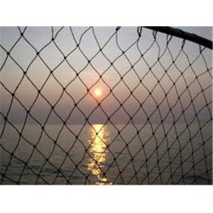 Fishing net