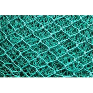 Fishing net