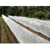 Anti insect net