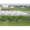Anti insect net