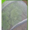 Agriculture polyethylene film