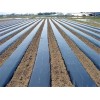 Agriculture polyethylene film