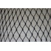 Anti bird net