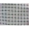 Anti bird net