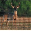 Anti bird net