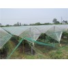 Anti bird net