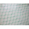 Bird netting