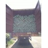 Plant support net