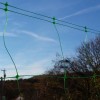 Plant trellis netting