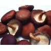Powder and Granular Compound Seasoning--Mushroom