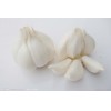 Powder and Granular Compound Seasoning--Garlic